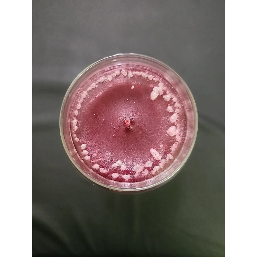 New RARE YANKEE CANDLE 22oz‎ LARGE JAR RETIRED COLLECTOR Scent Cranberry Twist